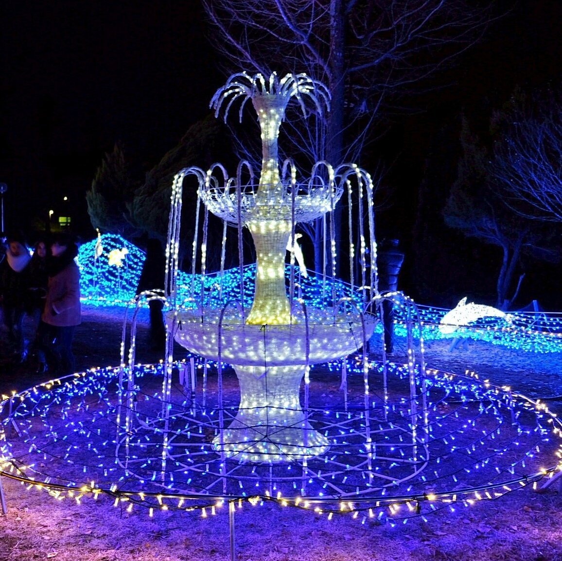 🏞️ 루리케이 계곡 이미지 8